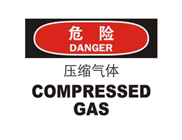 危險類標示 壓縮氣體 COMPRESSED